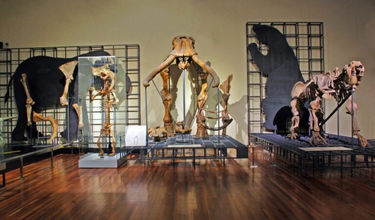 Aprender y divertirse en familia en el Museo Nacional de Ciencias Naturales