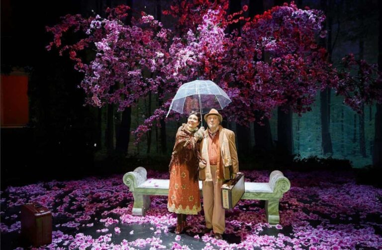 Reflexión «En el oscuro corazón del bosque»