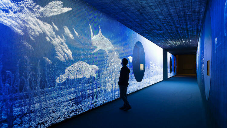 Aprendiendo sobre fauna marina en el túnel LED más largo de Europa