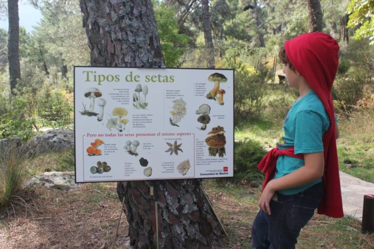 Cien actividades familiares al aire libre en Madrid para los «findes» de verano