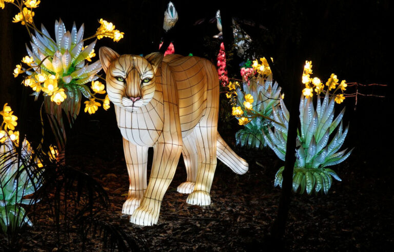 400 animales iluminados tomarán la capital en «Brilla Madrid Zoo»