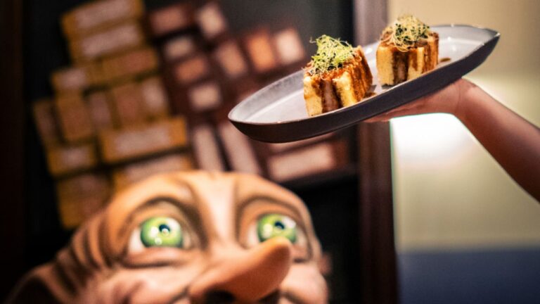 Plato temático en el restaurante Harry Potter Andén 9 y ¾ en Madrid con Dobby al fondo.