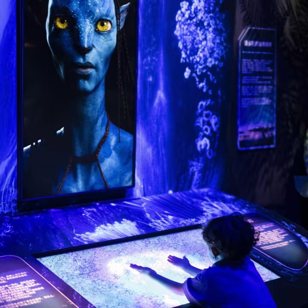 Avatar: The Experience