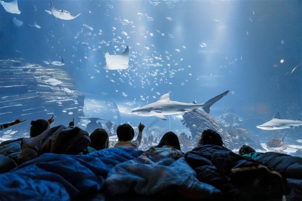 Atlantis Aquarium