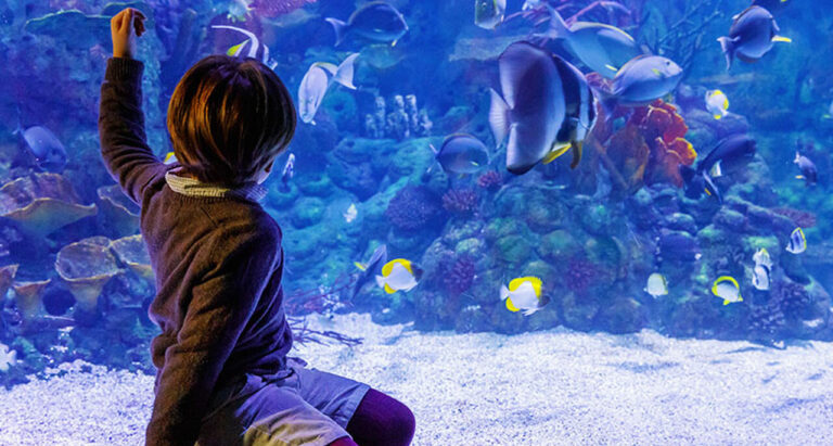 Atlantis Aquarium